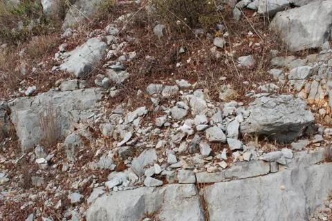 The texture of the surface of the soil with stones Stock Photos