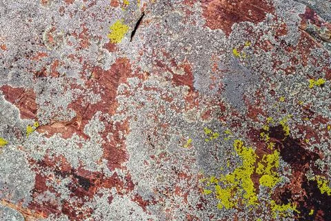 The texture of the surface of a stone covered with lichen Stock Photos
