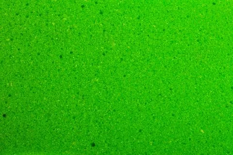 Texture of surface of unused green sponge closeup. Stock Photos