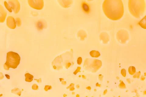 Texture of Swiss-type cheese on a section Stock Photos