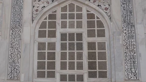 Texture of the Taj Mahal . Stock Footage 250368461
