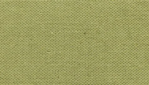 The texture of the technical surface of a wooden panel, close-up, high resolu Foto stock