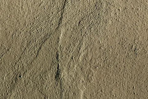 Texture of textured plaster Foto stock