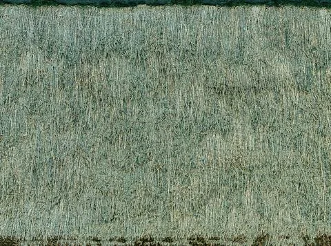 Texture of a thatched roof creating a rustic and organic background Stock Photos