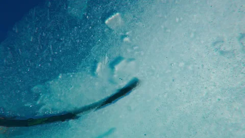 Texture of thawing thin spring ice with frozen branch and air bubbles glistening Stock Footage 329123541