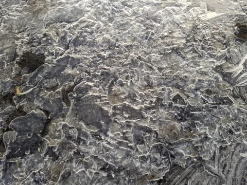 Texture of thin and broken ice closeup photo Foto stock