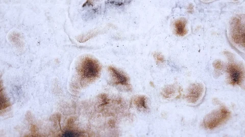 Texture of thin bread Stock Footage 88698735