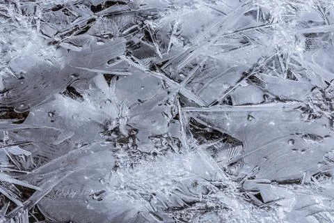 The texture of the thin ice on the water surface Stock Photos