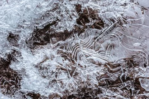 The texture of the thin ice on the water surface Stock Photos