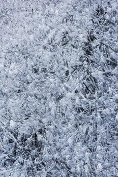 The texture of the thin ice on the water surface Stock Photos