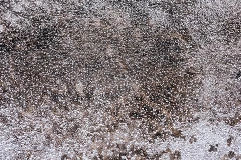 The texture of the thin ice on the water surface Stock Photos