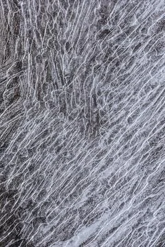 The texture of the thin ice on the water surface Stock Photos