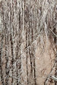 The texture of the thread is rough old fringe Stock Photos