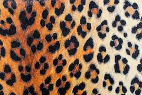 The texture of the tiger Stock Photos