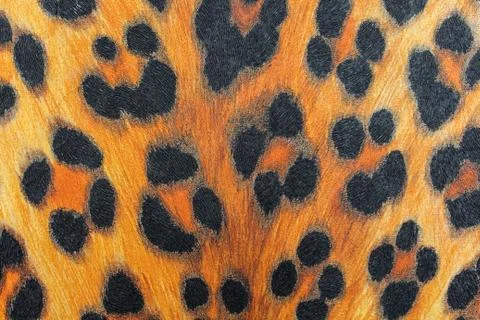 The texture of the tiger Foto stock