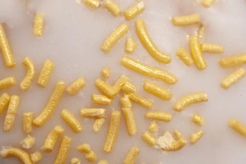 Texture of the Traditional Easter cake with white icing and colorful sprinkle 库存照片