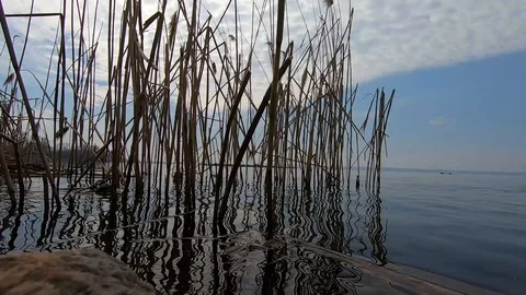 Texture of tranquil waves of river at autumn time against the background of ston Video stock 106549973