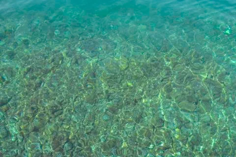 Texture of transparent shallow water surface. Rippling water background. Stock Photos