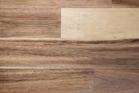 Texture of a tree, background, close-up Stock Photos