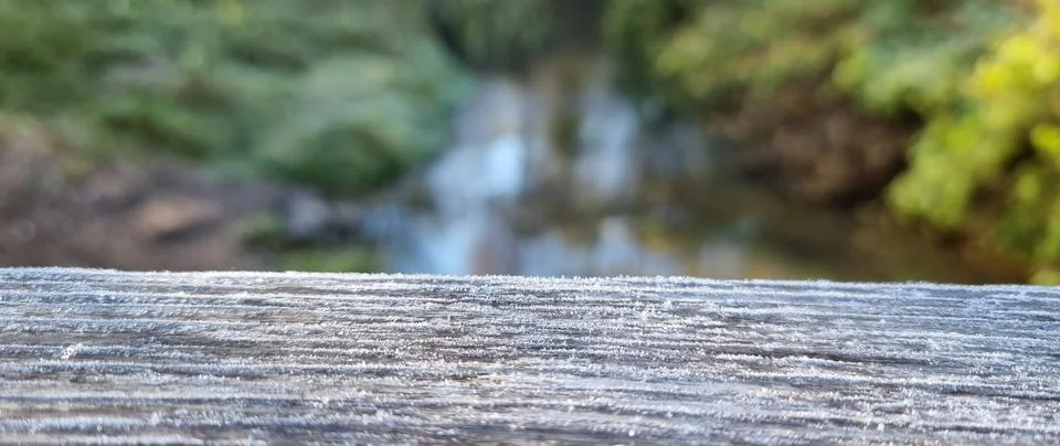The texture of a tree on the background of a river Stock Photos