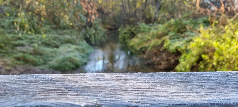 The texture of a tree on the background of a river Stock Photos