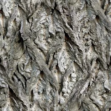 Texture of the tree bark, seamless pattern Stock Photos