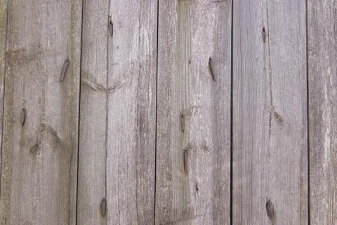 Texture, tree, board Stock Photos