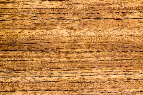 The texture of the tree, close up, background Foto stock