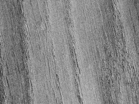 The texture of a tree covered with silver Stock Photos