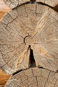 The texture of the tree on the cut of a log Stock Photos