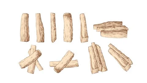 Texture tree, firewood set. Vector vintage sketch Stock Illustration