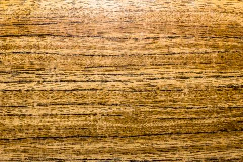 The texture of the tree, horizontal stripes, close up Foto stock