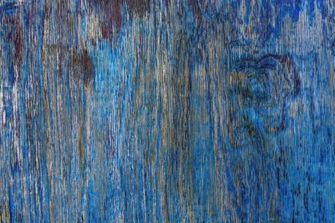 The texture of the tree painted in blue Stock Photos