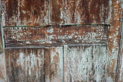 The texture of the tree Stock Photos