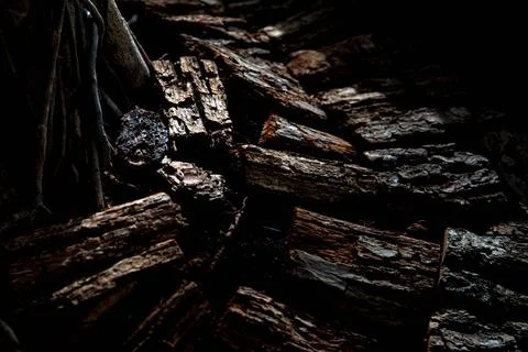 Texture of the tree Stock Photos