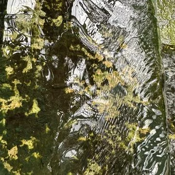 Texture, tree, rock, nature, water, stone, moss, green, bark, abstract, old, pla Stock Photos
