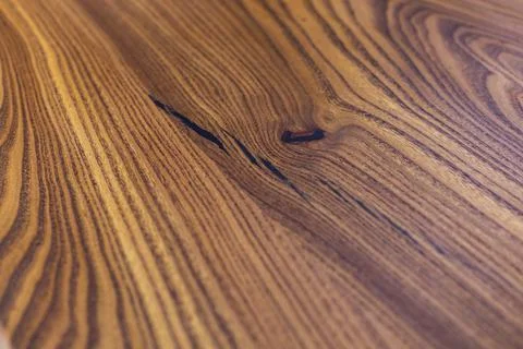 Texture of tree stump for background. Rough organic texture of tree annual ri Stock Photos