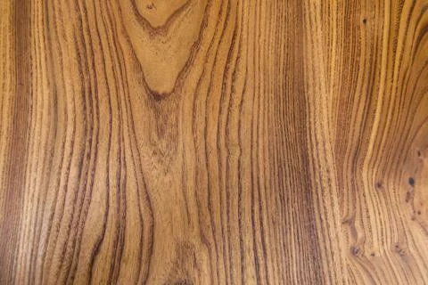 Texture of tree stump for background. Rough organic texture of tree annual ri Stock Photos