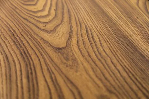 Texture of tree stump for background. Rough organic texture of tree annual ri Stock Photos