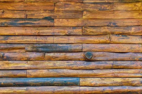 Texture of tree trunks wall for background. Wooden trunks wall surface Stock Photos