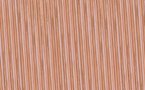 Texture tree vertical lines ribbed ocher natural pattern Illustrazione stock