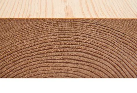 Texture of a tree on a white background Stock Photos