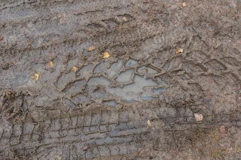 Texture of tyre tracks in mud Stock Photos