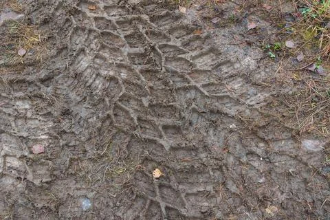 Texture of tyre tracks in mud Stock Photos