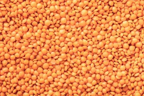 Texture of uncooked lentil closeup Foto stock