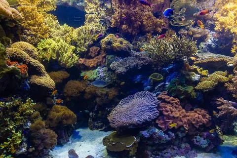 Texture of underwater world Stock Photos