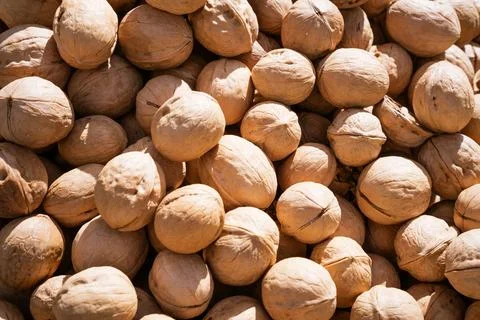 Texture unpeeled walnuts in shell top view as background Стоковые фото