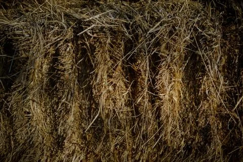 Texture vectar Stock Photos