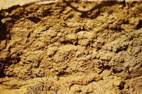 The texture of a vertical surface of moist soil Stock Photos