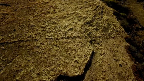 Texture view of dry ground with brown and yellow grass, Aerial shot Stock Footage 89872740